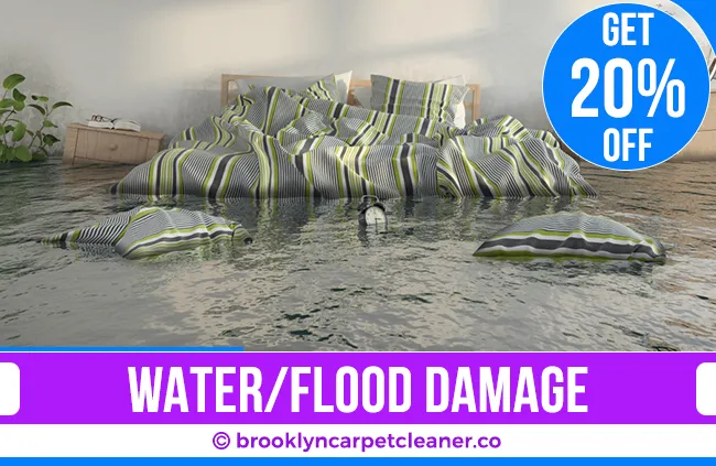 carpet cleaning in brooklyn, carpet cleaning in Brooklyn, carpet cleaning brooklyn, carpet cleaners in brooklyn, carpet cleaners in Brooklyn, commercial carpet cleaning, commercial carpet cleaning in brooklyn, brooklyn rug cleaners, rug cleaning services in brooklyn, same day carpet cleaning, same day rug cleaning